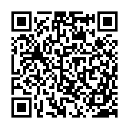 QR code for PUI867