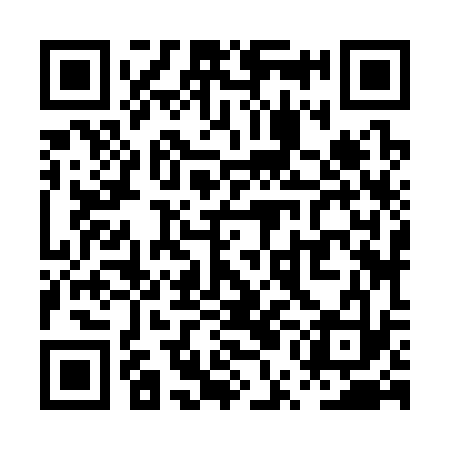 QR code for PUJ333