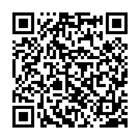 QR code for PUN033