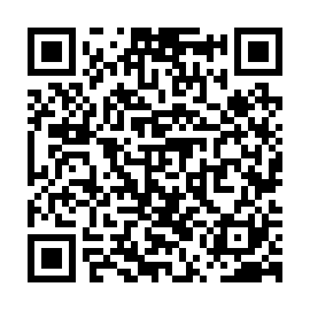 QR code for PUN221