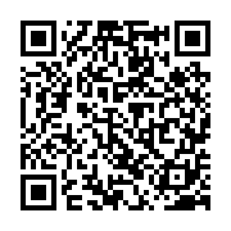 QR code for PUN251