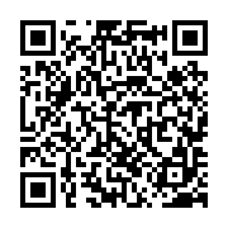 QR code for PUN292