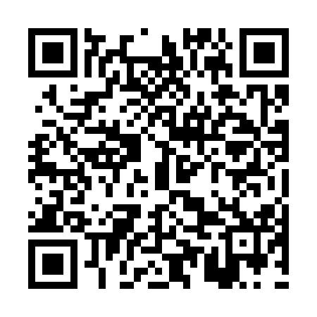 QR code for PUN312