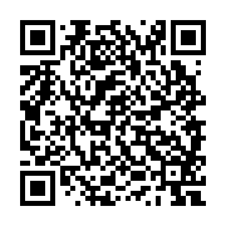 QR code for PUN386