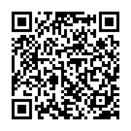 QR code for PUN391