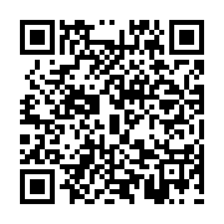QR code for PUN617