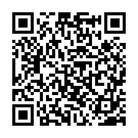 QR code for PUN873