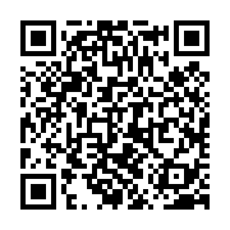 QR code for PUR439