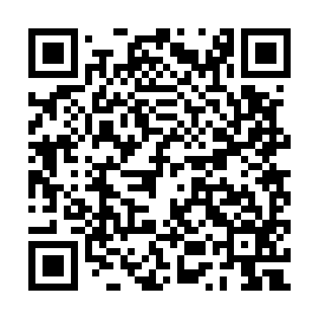 QR code for PUR596