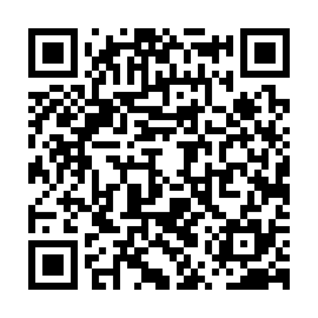 QR code for PUT335