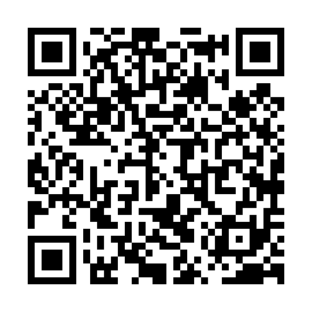QR code for PUX411