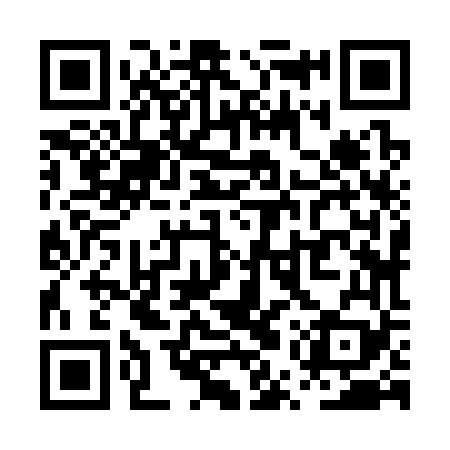 QR code for PUZ369