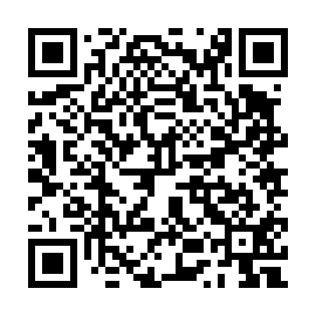QR code for PUZ411