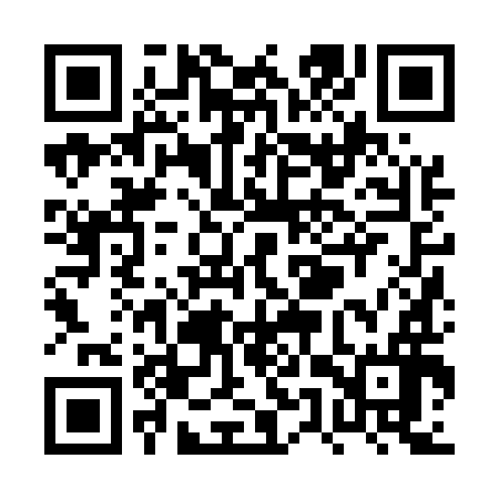 QR code for PUZ596