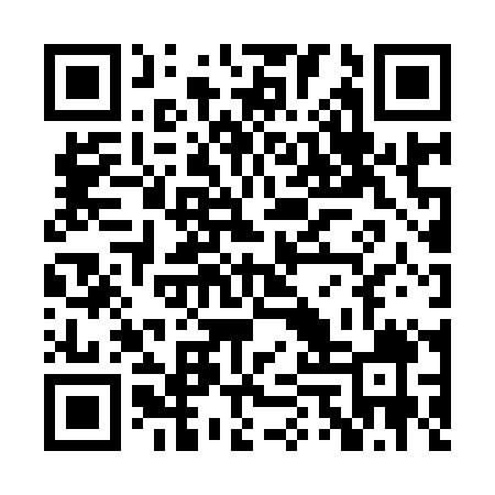 QR code for PUZ909