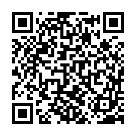 QR code for PUZ953