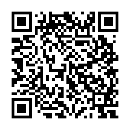 QR code for PVS381