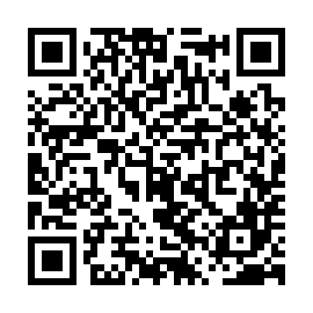 QR code for PVS386