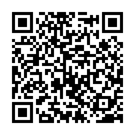QR code for PVT119