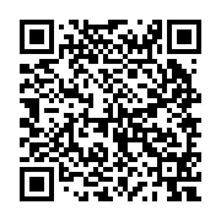 QR code for PVZ294