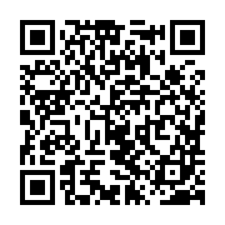 QR code for PVZ983