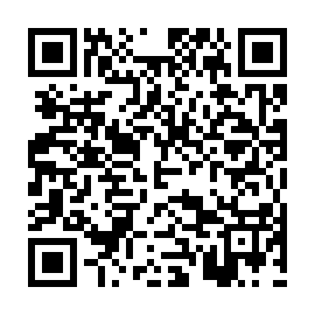 QR code for PWM317