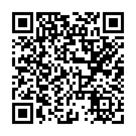 QR code for PWS393