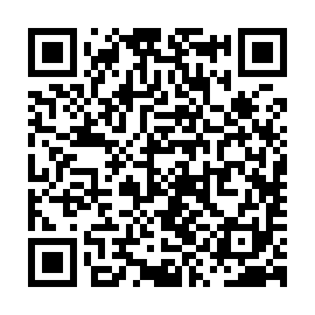 QR code for PYB991