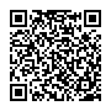 QR code for PYE994