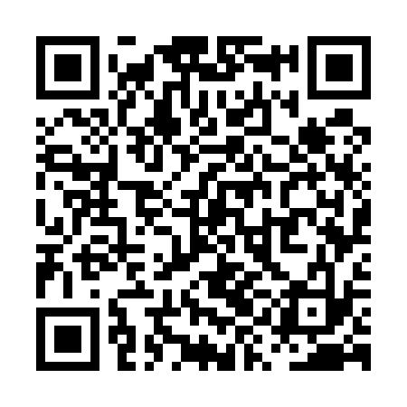 QR code for PYG533