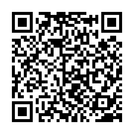 QR code for PYG538