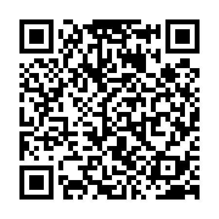 QR code for PYG539