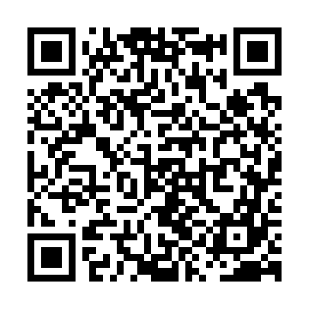 QR code for PYG767