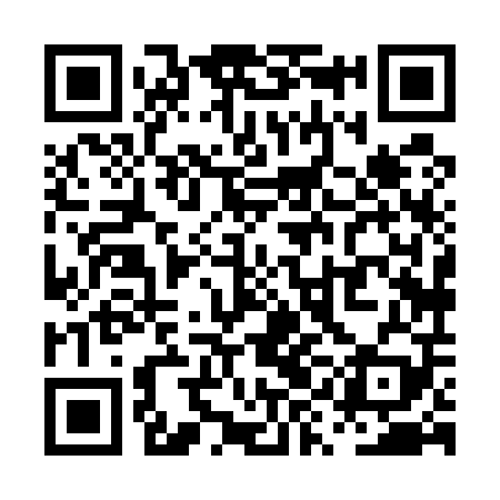 QR code for PYH509