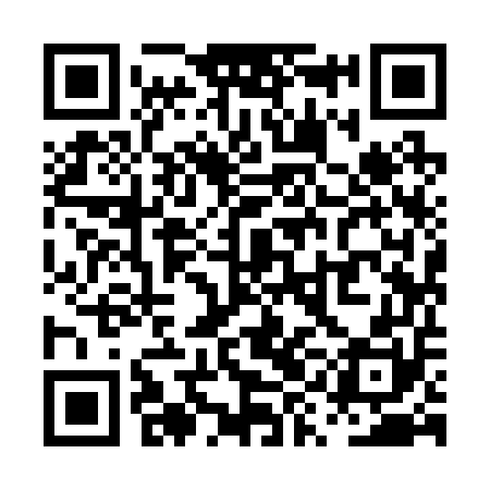 QR code for PYI250