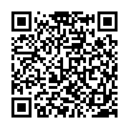QR code for PYI333