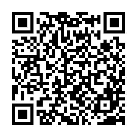 QR code for PYI386