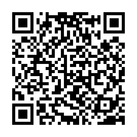 QR code for PYK539