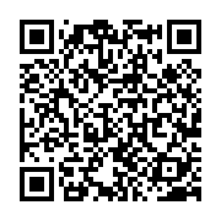 QR code for PYL029