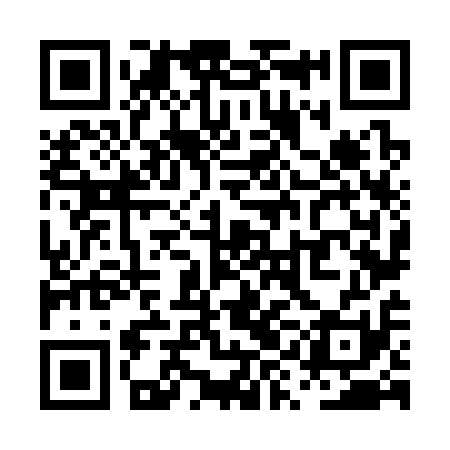 QR code for PYN311