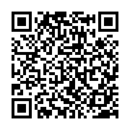 QR code for PYN800