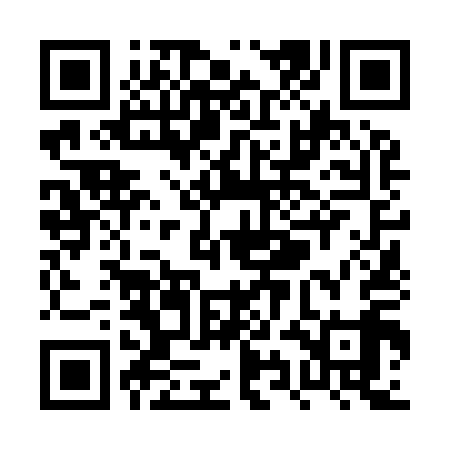 QR code for PYN919