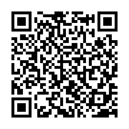 QR code for PYO398