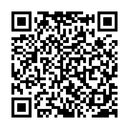 QR code for PYO991