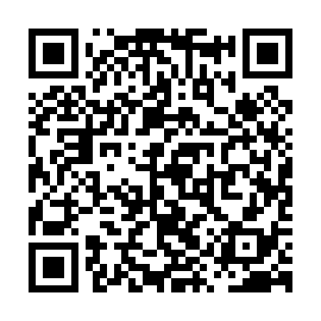 QR code for PYQ038