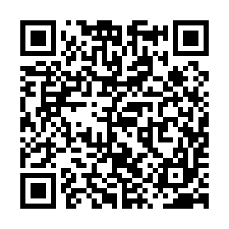 QR code for PYQ197