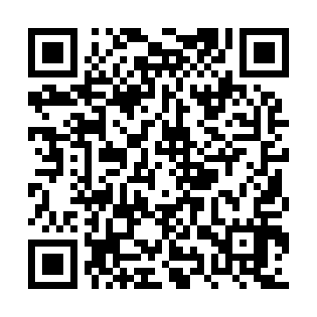 QR code for PYQ917