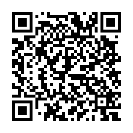 QR code for PYR029