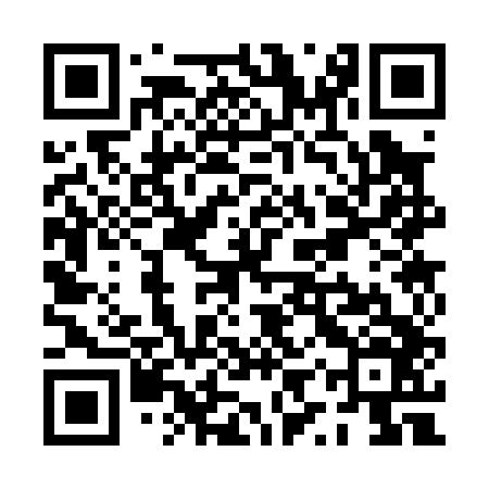 QR code for PYS046