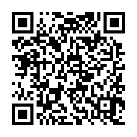QR code for PYT384